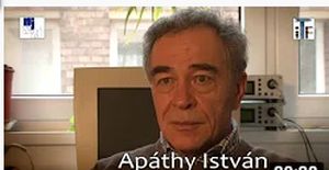 Apáthy István